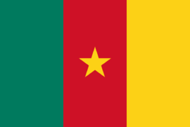 Wanita Kamerun